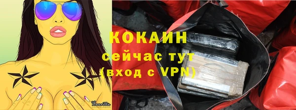 соль ск Арсеньев