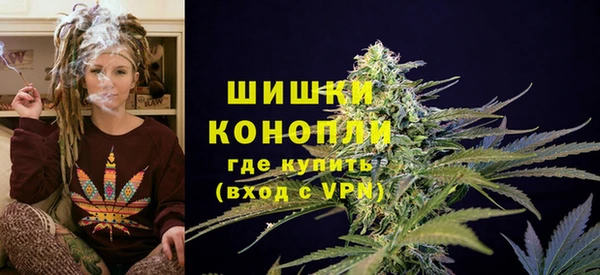соль ск Арсеньев