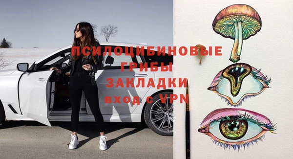 соль ск Арсеньев