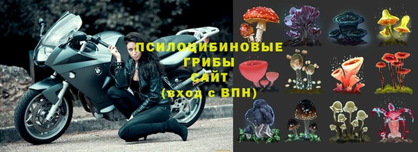 соль ск Арсеньев