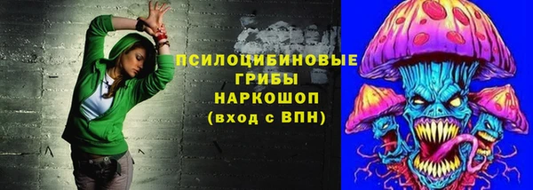 соль ск Бердск