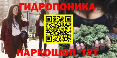 спиды Ливны