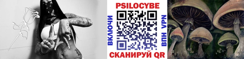 Псилоцибиновые грибы Psilocybine cubensis  как найти   Гурьевск 