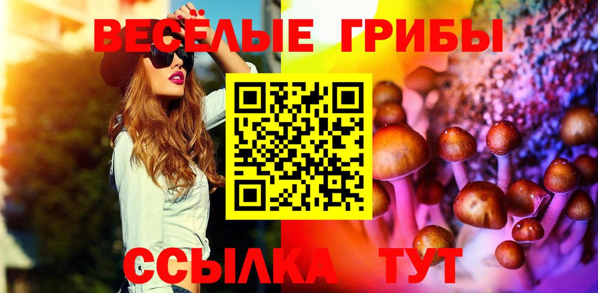 Галлюциногенные грибы Cubensis  Вход с VPN  Гурьевск 
