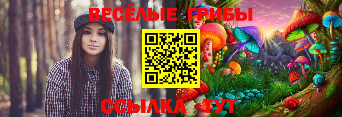 Псилоцибиновые грибы мицелий Гурьевск